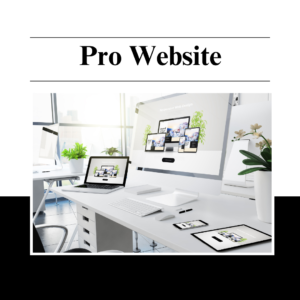 Pro Website Package